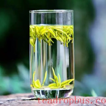 Proper Brewing Methods for Green Tea and the Best Time to Drink It