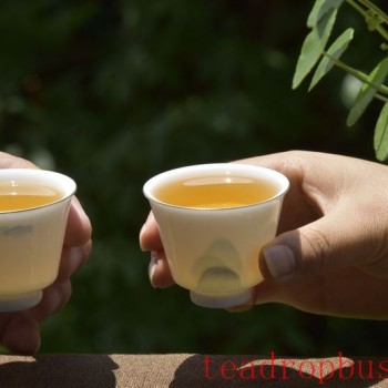 Who Should Not Drink Tea Regularly