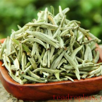 Unlocking the Perfect Brewing Method for White Peony Silver Needle Tea