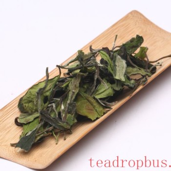 Why Start Drinking White Tea with Shoumei?