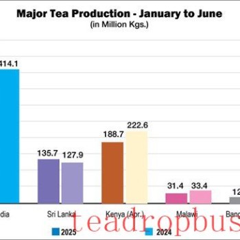 India’s Tea Crop Swells, But Prices Paint a Complex Picture