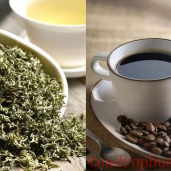 Tea and Coffee: A Deep Dive into Their Energizing Effects