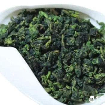 What are the differences between the five main aroma types of Tieguanyin?