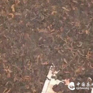 The Hidden Truth Behind Why Pu'er Tea Should Not Be Stored as Loose Tea