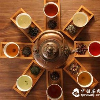 Which Tea is Healthier? 18 Questions About Drinking Tea