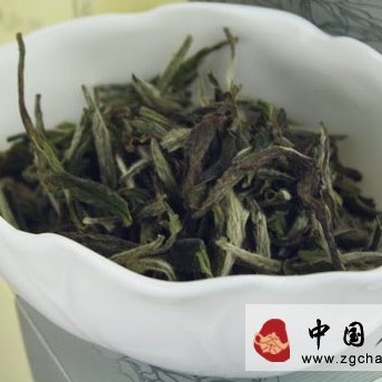 Comparison of Moonlight White and White Peony