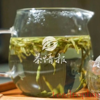 Bulking Up, Dryness, and Fatigue in Autumn: Drink More Tea After the Beginning of Autumn