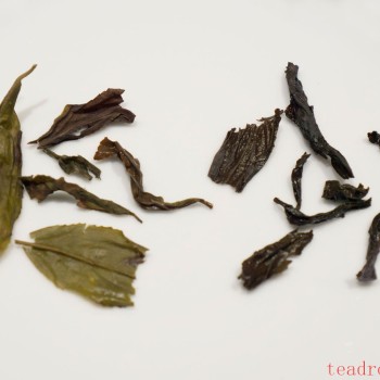 Tasting two Wuyi Rock Teas