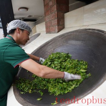 Puer Tea: Handmade vs. Mechanized
