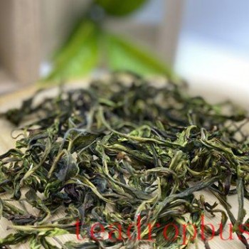 Taiwan Explores New Possibilities for Wild Tai Cha 24 Cultivar
