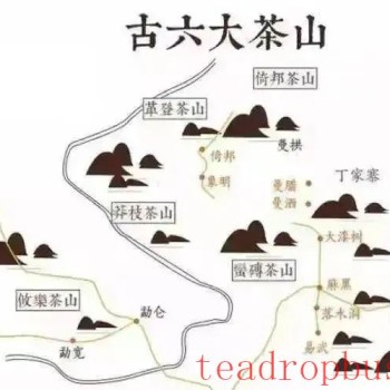 Mengla Tea – The Flavor of Tribute Tea: The Ancient Six Great Tea Mountains of Pu-er, Mantuan Tea Mountain