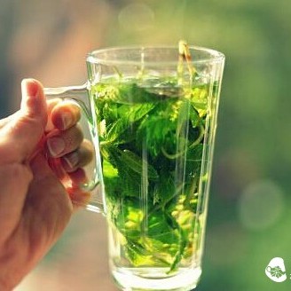 Drinking One Type of Tea Can Completely Eliminate Bad Breath