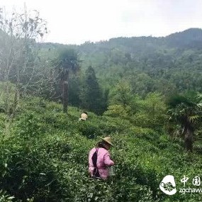 Tea, beyond all that is known, gives one's life an unknown possibility