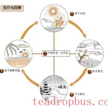 Spring: From the Perspectives of the Five Elements and Health Preservation, Here’s How to Drink Tea