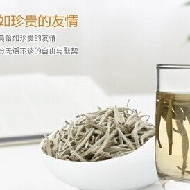The Most Complete White Tea Brewing Methods (with Pros and Cons Analysis)