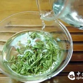 【Tea Study】Three Key Considerations for Brewing Green Tea in a Cup