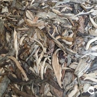 Misconceptions about the Collectible Value of Pu'er Tea and White Tea