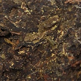 How to Drink Dark Tea Best? Brewing or Boiling?