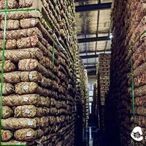 Five Key Points to Master in Dark Tea Collection