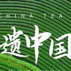 Intangible Cultural Heritage: Anhua Dark Tea Fu Brick Tea Production Techniques