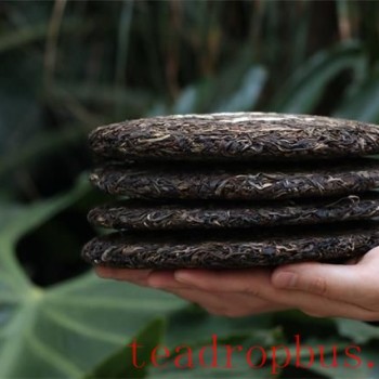 How to Brew and Properly Store Pu-er Tea Cakes
