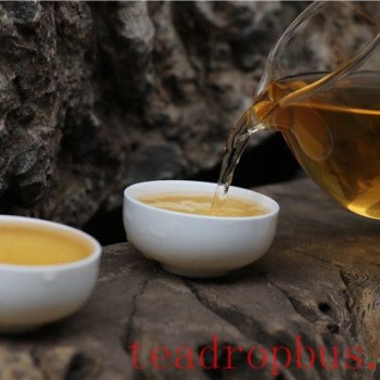 Can Tea Sober You Up From Alcohol? The Answer Is: No!