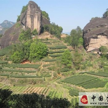 Horse Head Rock Rougui