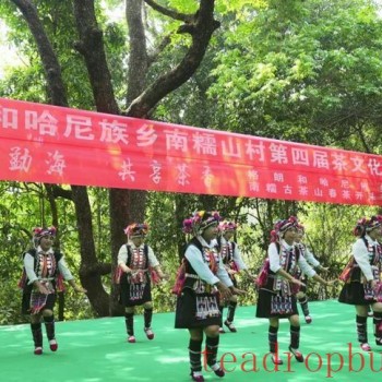 Promoting Rural Revitalization through Tea: The Ancient Tea Mountain of Nanuo Mountain Officially Opens for Spring Harvest