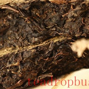 Dark Tea: Should it be Steeped or Boiled?