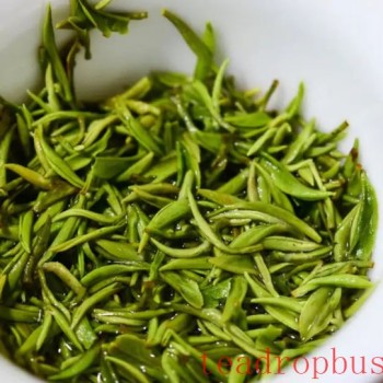 The Differences Between Green Tea and Black Tea