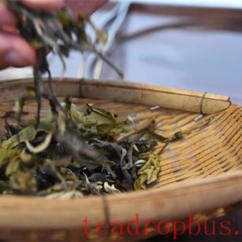 What Constitutes Good Pu-er Tea
