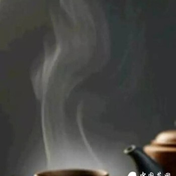 To appreciate Pu-erh tea, one must know the wonderful realm of Pu-erh tea energy!