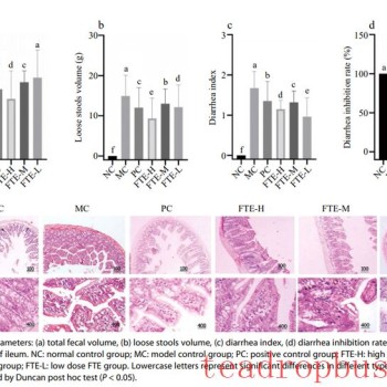 Academician Zhonghua Liu-s Team: The Mechanism of Fu Brick Tea Against Diarrhea