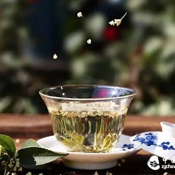❀6 Types of Stomachs That Should Drink Pu-erh Tea, Is Yours One of Them?