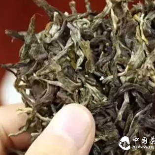 Proper Storage of Spring Ancient Tea