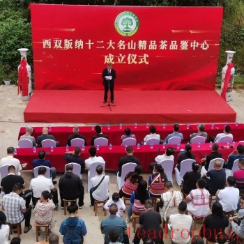 Tasting Pu-er Tea, Displaying the Beauty of Chinese Tea Charm