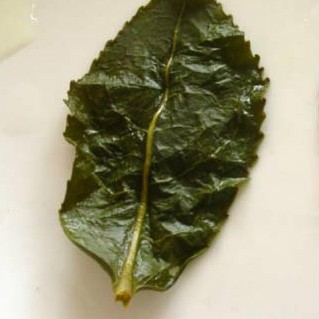 Answering Some Common Questions About Oolong Tea