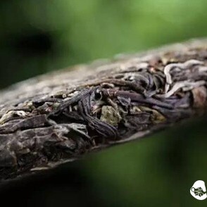 What is the 'White Frost' on Pu-erh Tea?