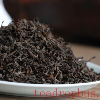 Professor Sheng Jun-s Popular Science on Fermented Tea — The Magic Leaf: Companion of Life and Health