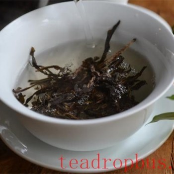 Brewing Techniques Suitable for All Tea Lovers