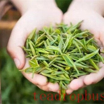 Six Types of Tea Have Different Properties: Choose the Right One for Good Health