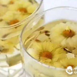 When You're Sick, Drinking the Right Tea is Key!