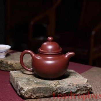 Playing with Purple Clay Pots: How to Become a Master at Nourishing Your Pot?