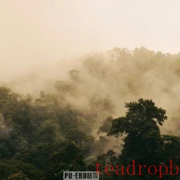 The Changes in Physical Properties During Pu-er Tea Maturation