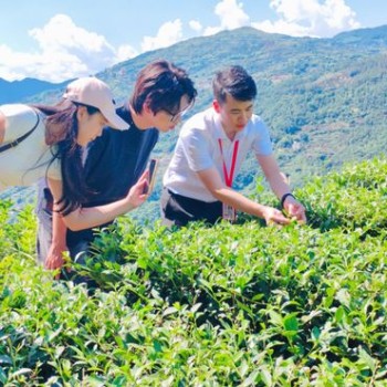 Village Rhythm Practice Team Boosts Rural Revitalization of Fujian-s Tea Industry