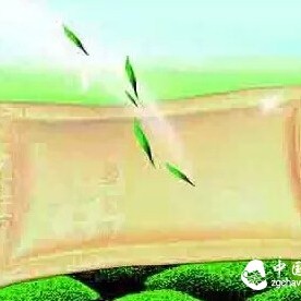 Benefits of Tea Pillows for the Head