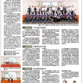Tongxiang Showcases the Charm of Sanjiang Tea in Guangzhou; Tea Enthusiasts Flock to the Fair to Savor the Aroma