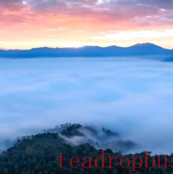 Bulang People: From Millennium Tea Farmers to Guardians of World Heritage