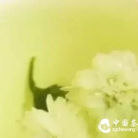 Five Types of People Who Should Never Drink Chrysanthemum Tea