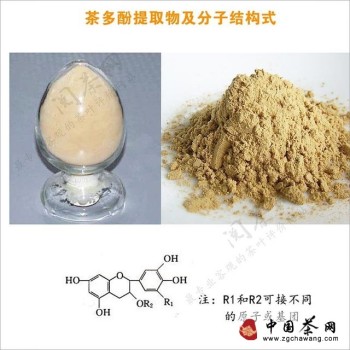 Tea Knowledge: Tea Polyphenols